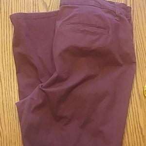 Purple gloria vanderbilt amanda trouser 14